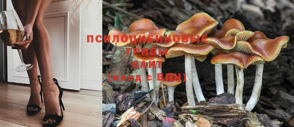 амф Володарск