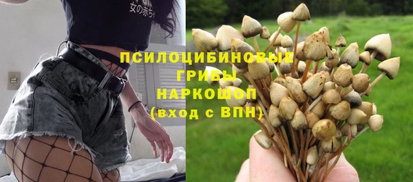 эйфоретик Горно-Алтайск