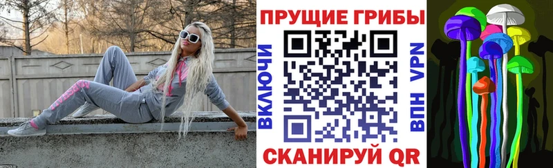 ОМГ ОМГ как войти  Западная Двина  Псилоцибиновые грибы MAGIC MUSHROOMS 